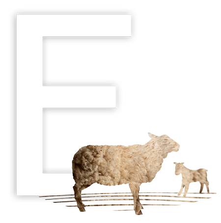 E pour Élevage
